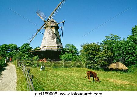 Low angle view of a windmill on a landscape, Copenhagen, Denmark View Large Photo Image Stock Photography - Low angle view of a windmill on a landscape, Copenhagen, Denmark. Fotosearch