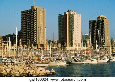 Picture - Boats docked at a harbor in front of buildings, Tel Aviv, Israel. Fotosearch