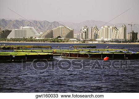 Fish farms in the sea with buildings in the background, Red Sea, Eilat, Israel View Large Photo Image Stock Image - Fish farms in the sea with buildings in the background, Red Sea, Eilat, Israel. Fotosearch
