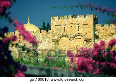 Flower plants in front of a wall, The Golden Gate, Jerusalem, Israel View Large Photo Image Stock Photograph - Flower plants in front of a wall, The Golden Gate, Jerusalem, Israel. Fotosearch