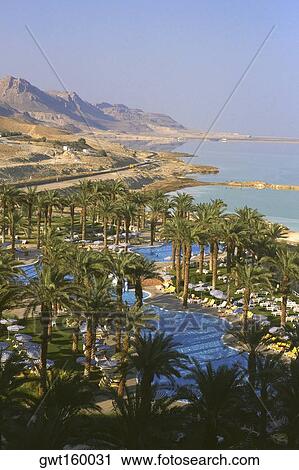 High angle view of a tourist resort at the coast, Dead Sea, Israel View Large Photo Image Stock Image - High angle view of a tourist resort at the coast, Dead Sea, Israel. Fotosearch