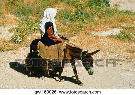 Side profile of a girl riding a donkey, Israel View Large Photo Image Stock Photograph - Side profile of a girl riding a donkey, Israel. Fotosearch