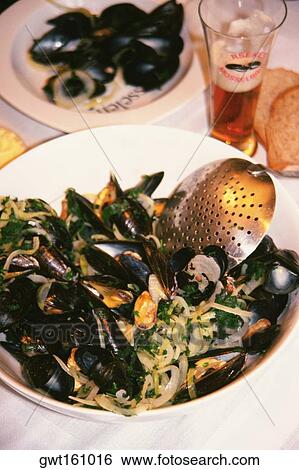 High angle view of black mussel in a plate, Netherlands View Large Photo Image Stock Photograph - High angle view of black mussel in a plate, Netherlands. Fotosearch