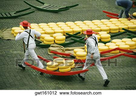 High angle view of two men carrying cheese, Alkmaar Cheese Market, Alkmaar, Netherlands View Large Photo Image Stock Image - High angle view of two men carrying cheese, Alkmaar Cheese Market, Alkmaar, Netherlands. Fotosearch