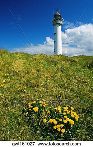 Low angle view of a lighthouse, Egmond, Netherlands View Large Photo Image Stock Photo - Low angle view of a lighthouse, Egmond, Netherlands. Fotosearch