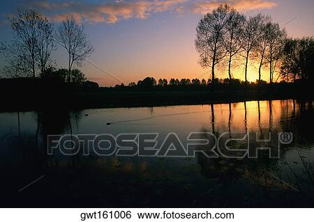 Silhouette of trees at sunrise, River Vecht, Netherlands View Large Photo Image Stock Photograph - Silhouette of trees at sunrise, River Vecht, Netherlands. Fotosearch