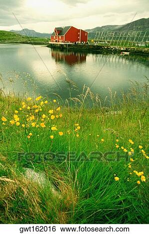 Stock Photograph - Fish farm on an island, Salmon, Norway. Fotosearch