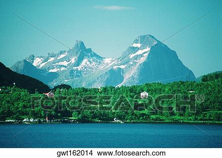 Picture - Forest at the waterfront, Norway. Fotosearch