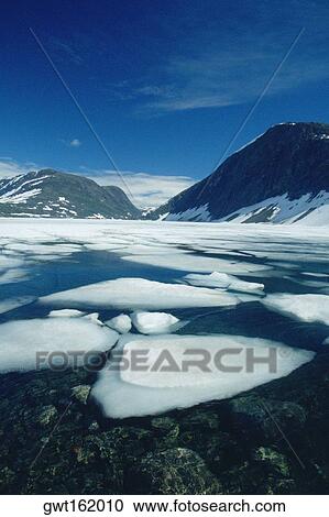 Icebergs floating in a lake, Geiranger, Norway View Large Photo Image Stock Image - Icebergs floating in a lake, Geiranger, Norway. Fotosearch