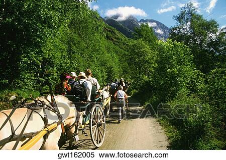 Stock Photography - Large group of people riding a horse cart, Briksdalsbreen Glacier, Norway. Fotosearch