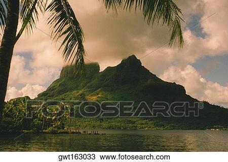 Cliff at the waterfront, Bora Bora, Society Islands, French Polynesia View Large Photo Image Stock Image - Cliff at the waterfront, Bora Bora, Society Islands, French Polynesia. Fotosearch