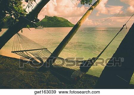 Stock Photo - Close-up of a hammock on the beach, French Polynesia. Fotosearch