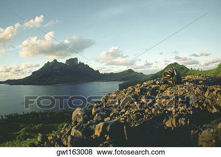 Hills at the waterfront, Bora Bora, Society Islands, French Polynesia View Large Photo Image Stock Photo - Hills at the waterfront, Bora Bora, Society Islands, French Polynesia. Fotosearch