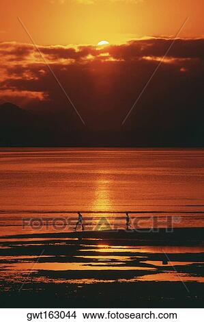 Picture - Silhouette of two people on the beach, Suva, Fiji. Fotosearch