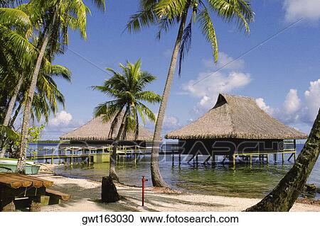 Stilt house in the sea, Bali Hai Hotel, Bora Bora, Society Islands, French Polynesia View Large Photo Image Stock Image - Stilt house in the sea, Bali Hai Hotel, Bora Bora, Society Islands, French Polynesia. Fotosearch