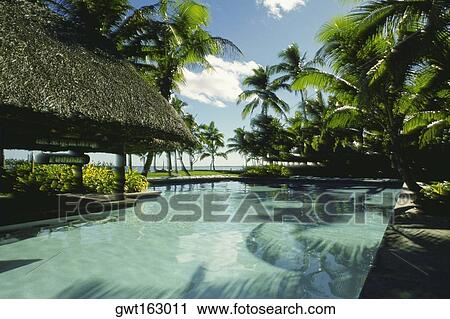 Swimming pool in front of stilt houses, Fiji View Large Photo Image Stock Image - Swimming pool in front of stilt houses, Fiji. Fotosearch