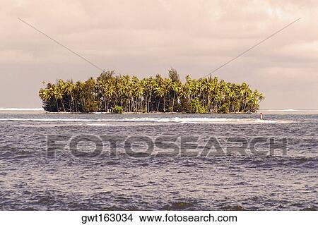 Picture - Trees on an island, Tahiti, Society Islands, French Polynesia. Fotosearch