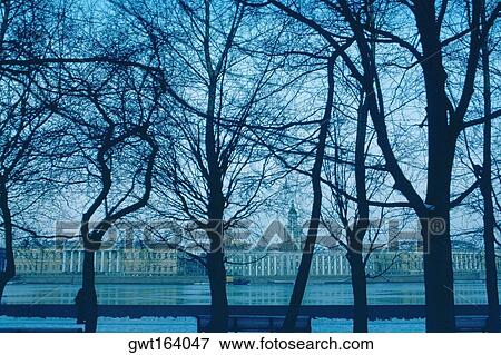 Silhouette of bare trees in front of buildings at dusk, Academy of Science, St. Petersburg, Russia View Large Photo Image Stock Photo - Silhouette of bare trees in front of buildings at dusk, Academy of Science, St. Petersburg, Russia. Fotosearch