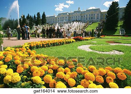 Tourists in the garden of a palace, Peterhof Grand Palace, St. Petersburg, Russia View Large Photo Image Picture - Tourists in the garden of a palace, Peterhof Grand Palace, St. Petersburg, Russia. Fotosearch