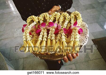 Low section view of a person holding a tray of flower bracelets, Bangkok, Thailand View Large Photo Image Stock Image - Low section view of a person holding a tray of flower bracelets, Bangkok, Thailand. Fotosearch