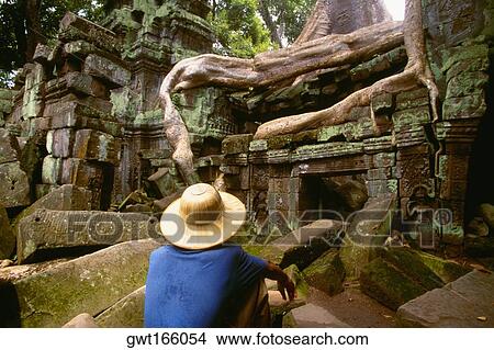Rear view of a man sitting on a stone in front of a temple, Ta Prohm Temple, Angkor, Siem Reap, Cambodia View Large Photo Image Picture - Rear view of a man sitting on a stone in front of a temple, Ta Prohm Temple, Angkor, Siem Reap, Cambodia. Fotosearch