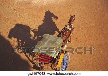 High angle view of a horse cart, Bagan, Myanmar View Large Photo Image Stock Image - High angle view of a horse cart, Bagan, Myanmar. Fotosearch