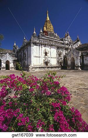 Stock Photo - Low angle view of a temple, Ananda Temple, Bagan, Myanmar. Fotosearch