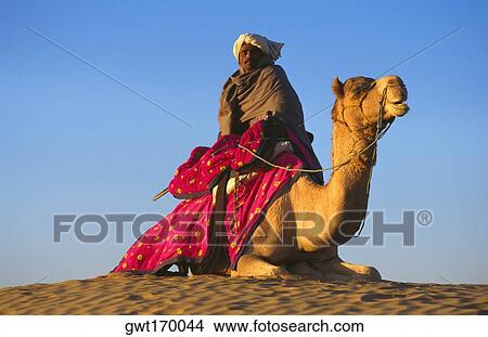 Low angle view of a mid adult man riding a camel in a desert, Rajasthan, India View Large Photo Image Picture - Low angle view of a mid adult man riding a camel in a desert, Rajasthan, India. Fotosearch