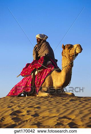 Low angle view of a mid adult man riding a camel in a desert, Rajasthan, India View Large Photo Image Stock Image - Low angle view of a mid adult man riding a camel in a desert, Rajasthan, India. Fotosearch