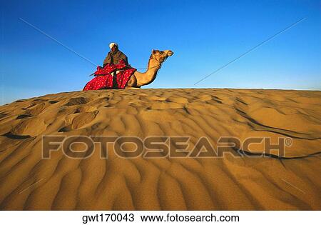 Low angle view of a mid adult man riding a camel in a desert, Rajasthan, India View Large Photo Image Stock Image - Low angle view of a mid adult man riding a camel in a desert, Rajasthan, India. Fotosearch