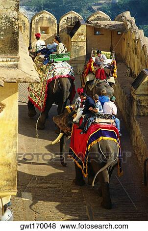 Tourists on elephants, Jaipur, Rajasthan, India View Large Photo Image Stock Photo - Tourists on elephants, Jaipur, Rajasthan, India. Fotosearch