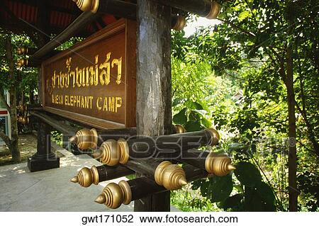 Close-up of a signboard at the entrance of a camp, Mae Sa Elephant Camp, Chiang Mai, Thailand View Large Photo Image Stock Image - Close-up of a signboard at the entrance of a camp, Mae Sa Elephant Camp, Chiang Mai, Thailand. Fotosearch