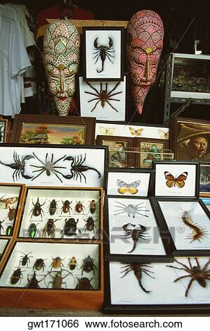Close-up of exotic gifts, Ko samui, Thailand View Large Photo Image Stock Photograph - Close-up of exotic gifts, Ko samui, Thailand. Fotosearch
