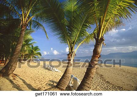 Empty lounge chairs on the beach, Gulf Of Thailand, Ko Samui, Thailand View Large Photo Image Stock Image - Empty lounge chairs on the beach, Gulf Of Thailand, Ko Samui, Thailand. Fotosearch
