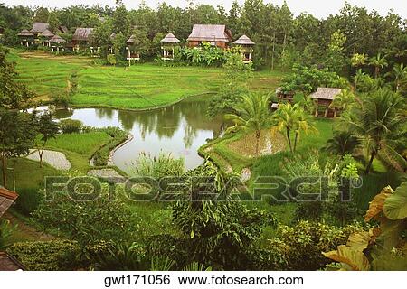 Stock Photograph - Pond in a formal garden, Chiang Mai, Thailand. Fotosearch