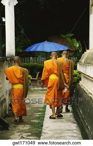 Rear view of Buddhist monks walking on a walkway, Chiang Mai, Thailand View Large Photo Image Stock Photo - Rear view of Buddhist monks walking on a walkway, Chiang Mai, Thailand. Fotosearch