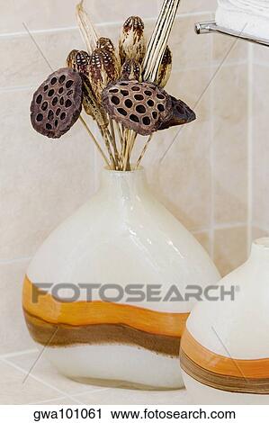 Stock Image - Close-up of lotus pods in a vase. Fotosearch
