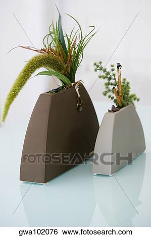 Close-up of plants in vases View Large Photo Image Stock Photograph - Close-up of plants in vases. Fotosearch