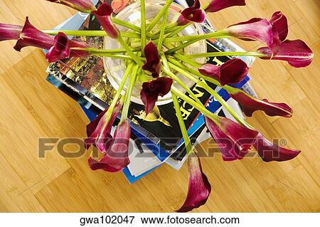Stock Photo - High angle view of flowers in a vase on a stack of books. Fotosearch
