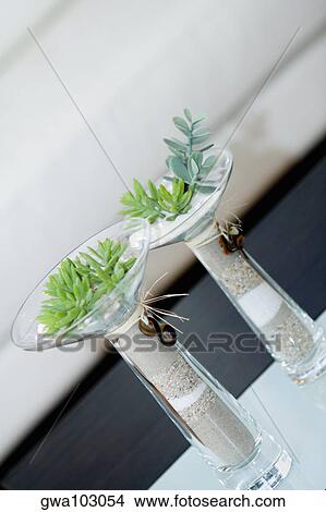 Close-up of plants in vases on a table View Large Photo Image Picture - Close-up of plants in vases on a table. Fotosearch