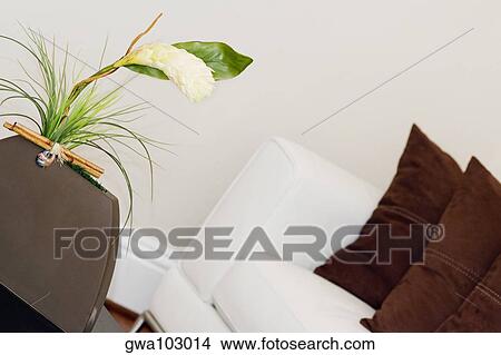 Picture - Plant in a vase. Fotosearch