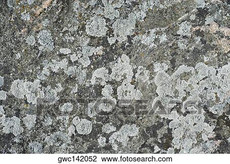 Close-up of a rough wall View Large Photo Image Stock Image - Close-up of a rough wall. Fotosearch