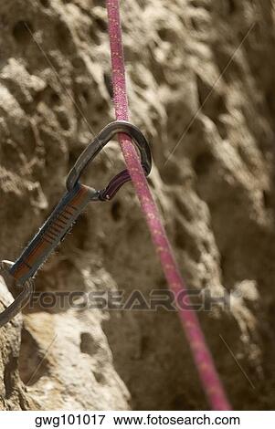Close-up of quickdraw with a rope View Large Photo Image Stock Photo - Close-up of quickdraw with a rope. Fotosearch