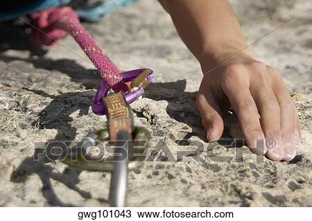 Hands of a rock climber gripping a rock View Large Photo Image Stock Image - Hands of a rock climber gripping a rock. Fotosearch