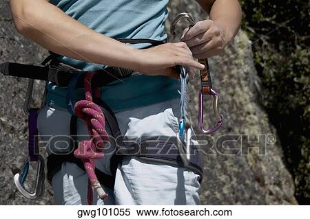 Mid section view of a female climber concording quickdraw to her harness View Large Photo Image Stock Photography - Mid section view of a female climber concording quickdraw to her harness. Fotosearch