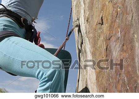 Mid section view of a female rock climber climbing a rock face View Large Photo Image Stock Photograph - Mid section view of a female rock climber climbing a rock face. Fotosearch