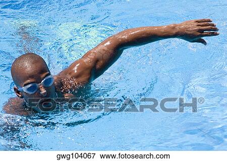 High angle view of a mid adult man swimming in a swimming pool View Large Photo Image Stock Photo - High angle view of a mid adult man swimming in a swimming pool. Fotosearch