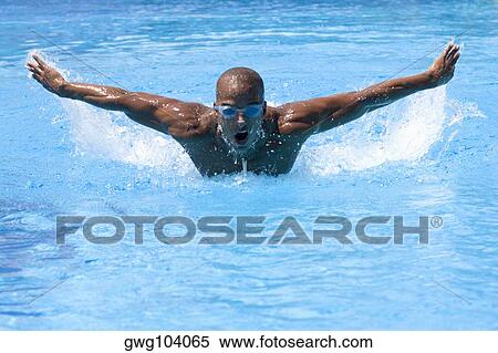 Stock Photography - Mid adult man swimming the butterfly stroke in a swimming pool. Fotosearch