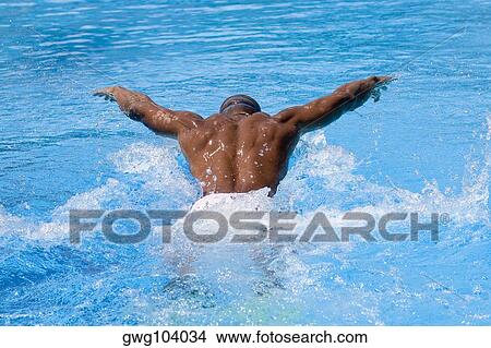 Picture - Rear view of a mid adult man swimming in a swimming pool. Fotosearch