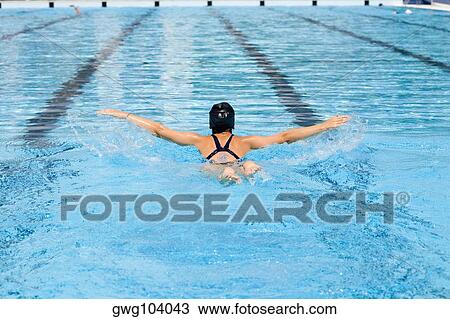 Rear view of a young woman swimming in a swimming pool View Large Photo Image Stock Image - Rear view of a young woman swimming in a swimming pool. Fotosearch